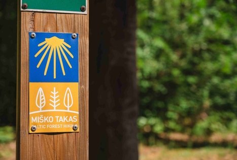 Forest Trail 60. Birštonas – Alksniakiemis.