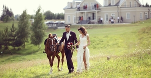 Homestead "Provansalis"