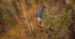 Forestic Lietuva