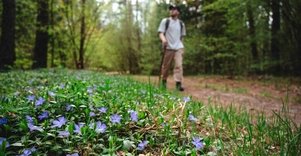 Forest Trail 52. Veisiejai – Trikojis.