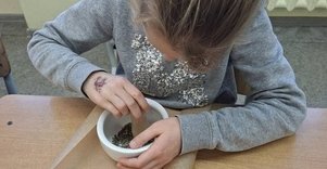 Prieskoninių augalų ir arbatų mišinių gamyba
