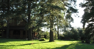 Homestead of Feliksas Laivys