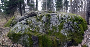 Akmuo „Mokas“