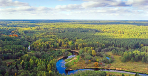 Anyksciai Forest