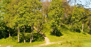 Apuole hillfort