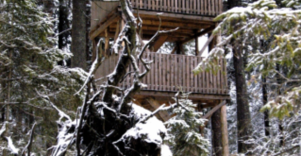 Aukštojo tyro regykla