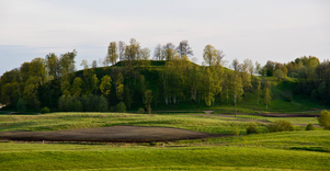 Bilioniai mound