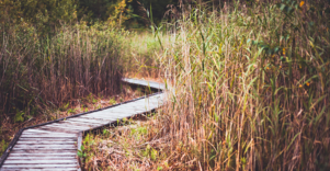 Botanical Trail of Paluse