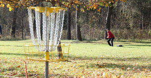 Disko golfas