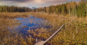 Dubrava Reserve Area