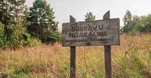 Dubravų piliakalnis