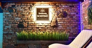 Pirtis, jakuzzi ir baseinas sodyboje netoli Kauno