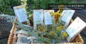Gydytojos Zofijos Tikuišienės ekologiški vaistiniai augalai
