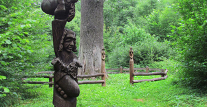 Oak tree in Prienai