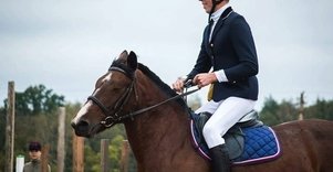 Horses in Kanapeckai farm