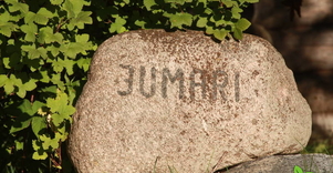 Ūkis „Jumari“