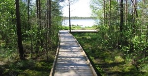 Kamanos strict nature reserve