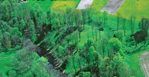 Laužiškio piliakalnis