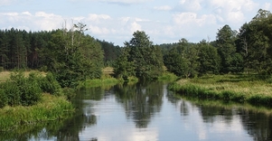 Merkio Ichtiological Reserve