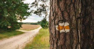 Forest Trail 59. Panemunis – Birštonas.