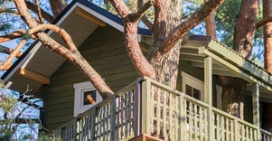 Sodyba „Namelis medyje“