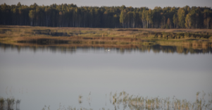 Novaraisčio valstybinis ornitologinis draustinis