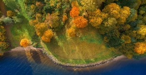 Pakalniškių piliakalnis 