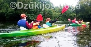 Kayaking tours