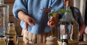 Discover the secrets of elderberry in Panekelpiai