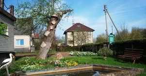 Seniausia Lietuvos obelis