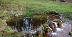 Sirvėtos regioninis parkas