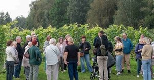 The secrets of berries and fruits at the Šlėvė farm