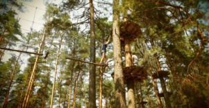Stihl virvių parkas