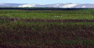 Tyrų pažintinis takas