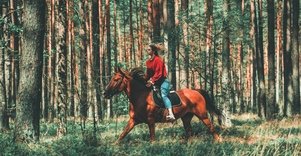 „Varėnės žirgai”