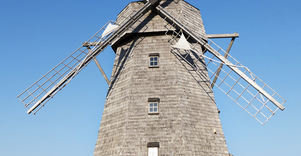 Zaliukai Miller's Homestead