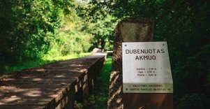 Žalpių (arba Dubenuotas) akmuo