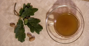 Gilių kava pas Almirą Didžiokienę