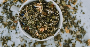 Edukacinė vakaronė su žolininke