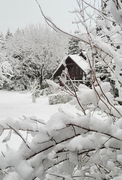 Sodyba „Kazokinė“