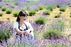Ekskursija ir degustacija Lavender Village ūkyje