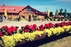 Homestead "Žarija"