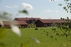 "Dvarčėnų manor"