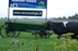 Homestead "Nemuno vagis"