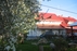 Homestead "Pas poną"