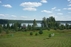 Homestead "Baluošo krantas"
