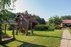 Homestead "Audros vienkiemis"
