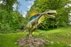 Dinozaurų parkas Dino.lt Radailiai ir Apverstas namas