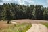 Forest Trail 56. Merkinė – Nemunaitis.