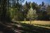 Forest Trail 56. Merkinė – Nemunaitis.